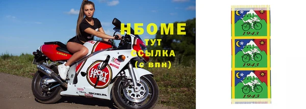 крисы Мегион