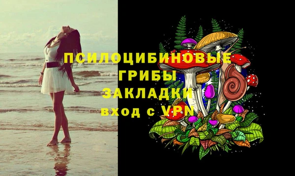 крисы Мегион
