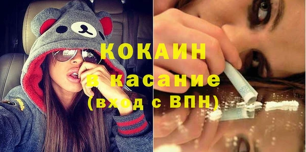 крисы Мегион