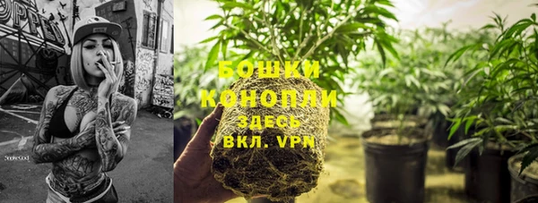 винт Усмань