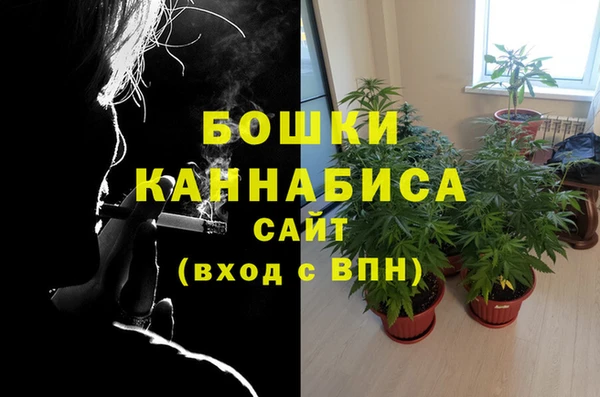 крисы Мегион