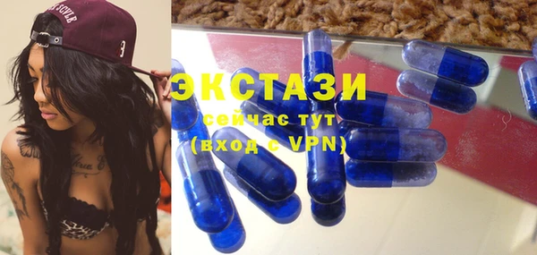 крисы Мегион