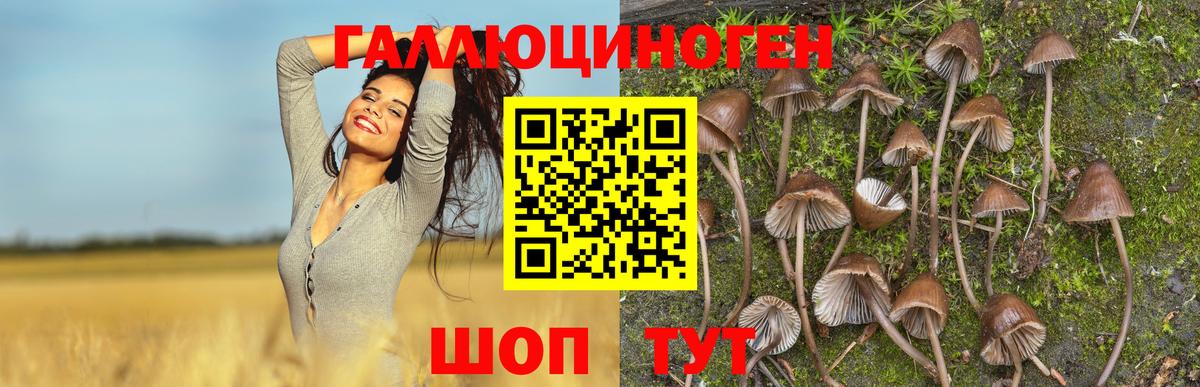 Галлюциногенные грибы мухоморы  наркота  Уфа  Вход с VPN 